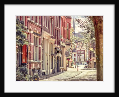 City street, Amsterdam by Assaf Frank